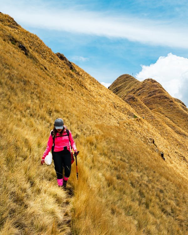 Les incontournables bâtons de marche pour randonneurs avisés